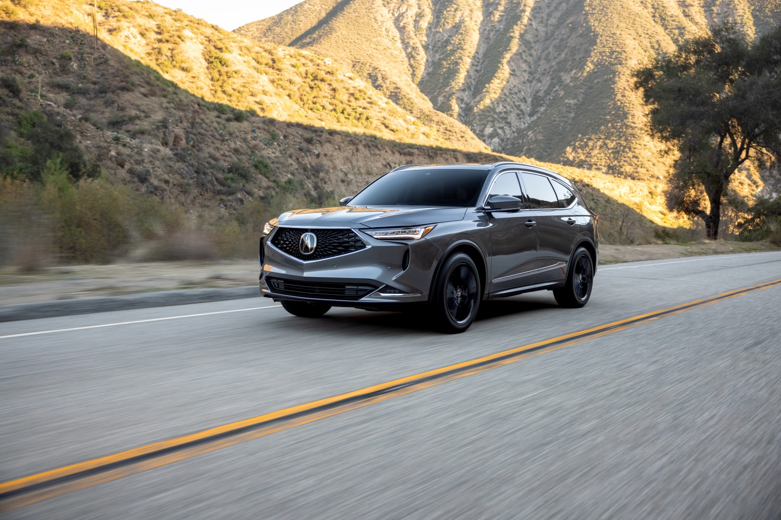 Acura MDX Advance