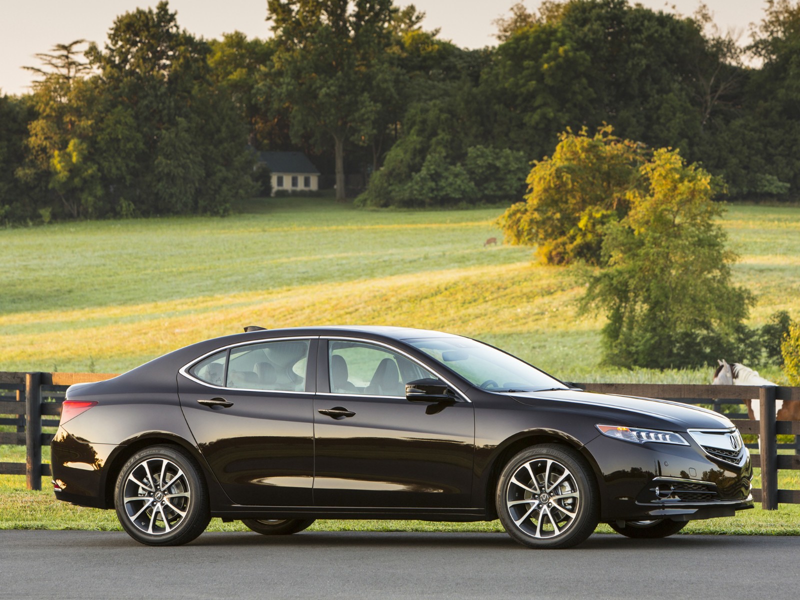 Acura TLX 3.5L V6