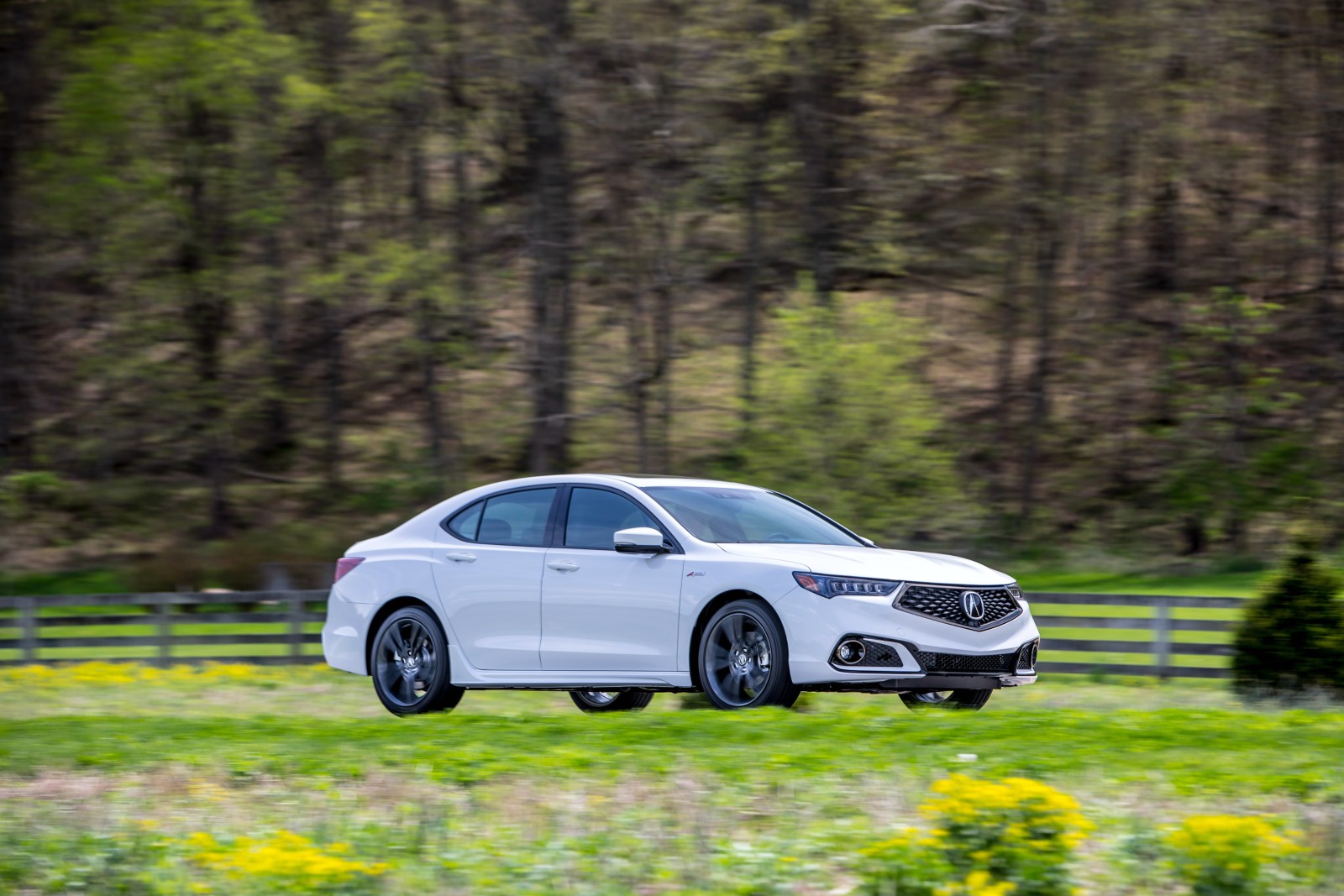 Acura TLX A-Spec