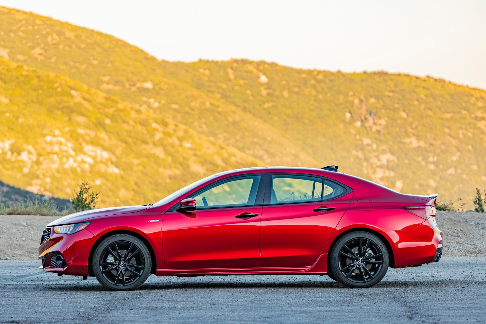 Acura TLX PMC Edition