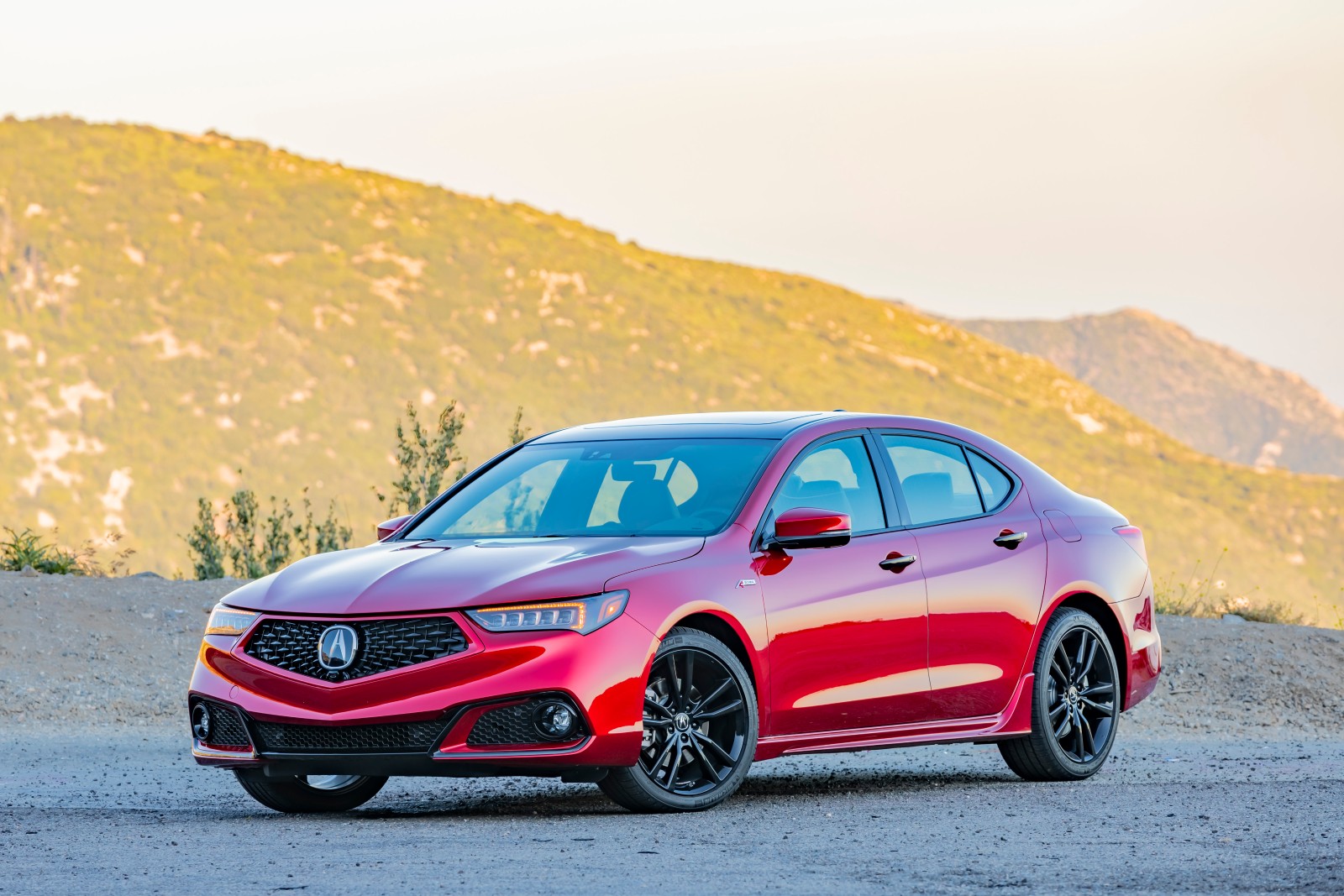 Acura TLX PMC Edition