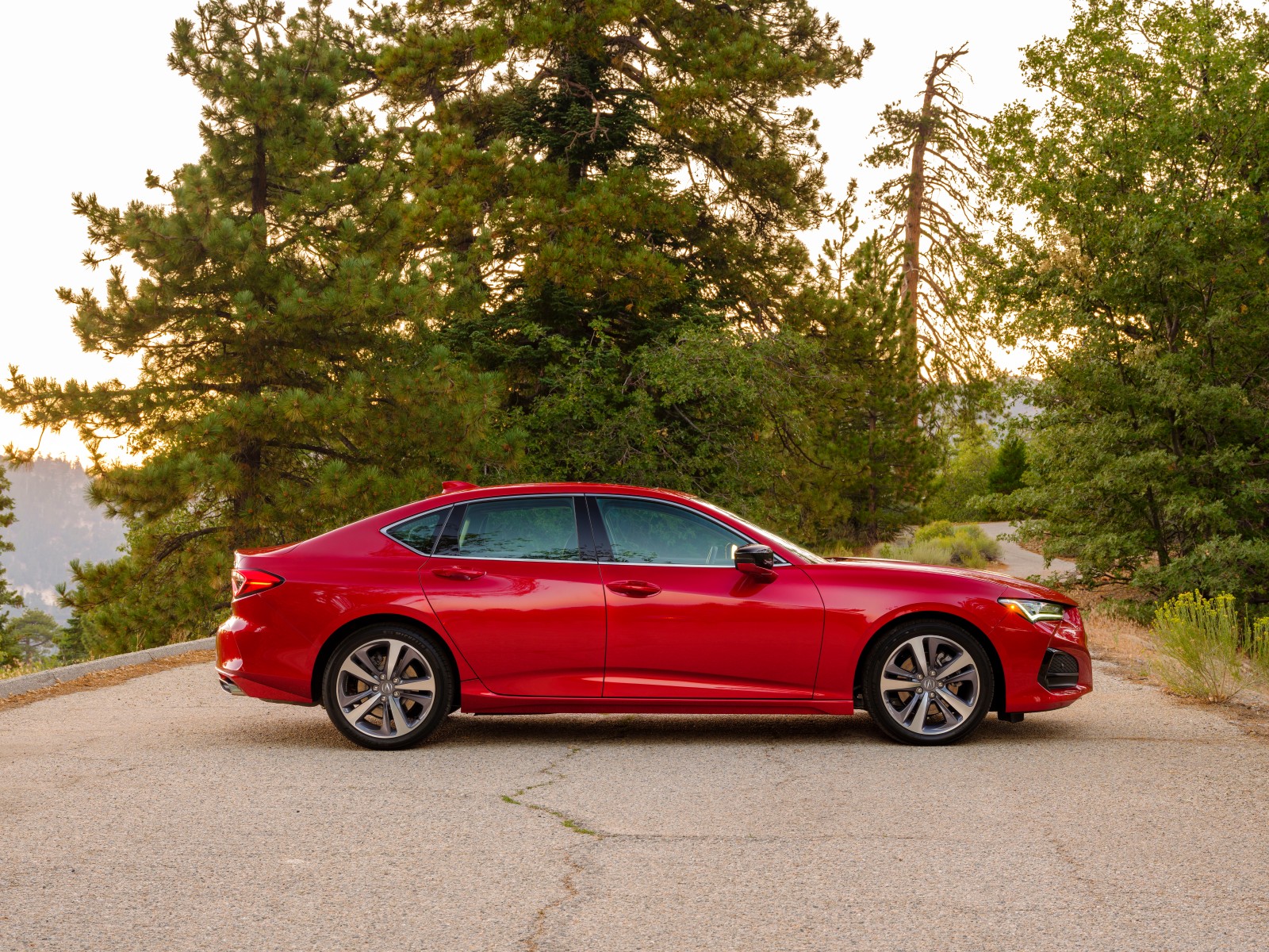 Acura TLX Advance
