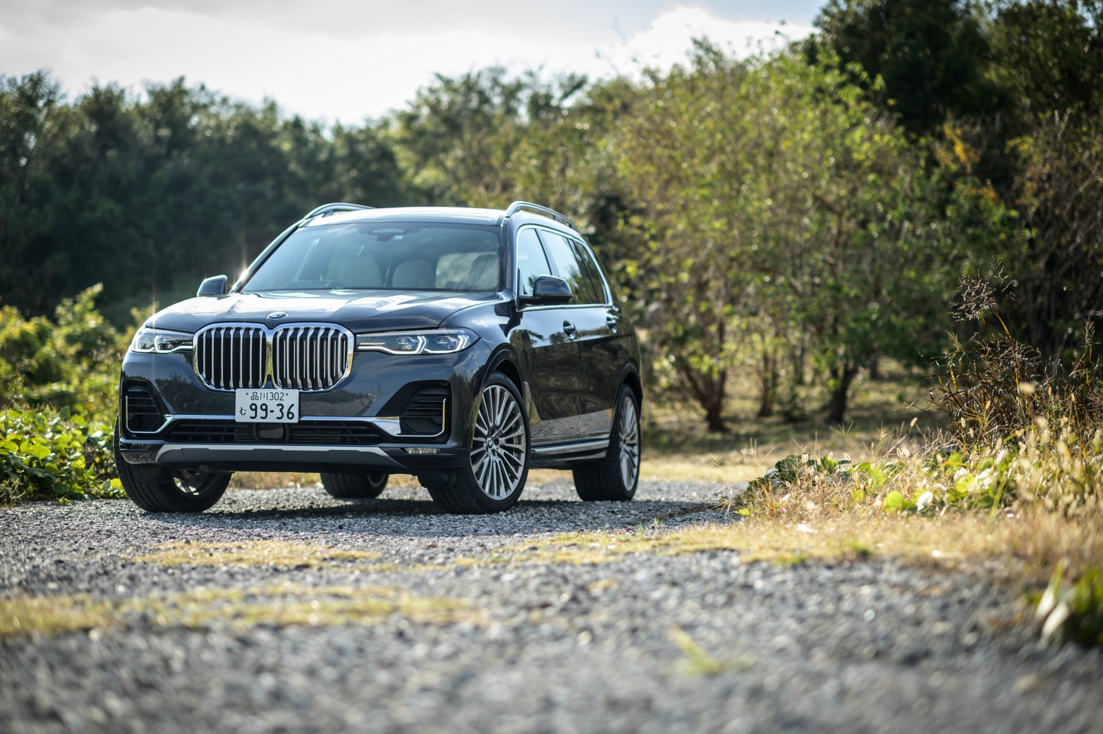 BMW X7 xDrive35d