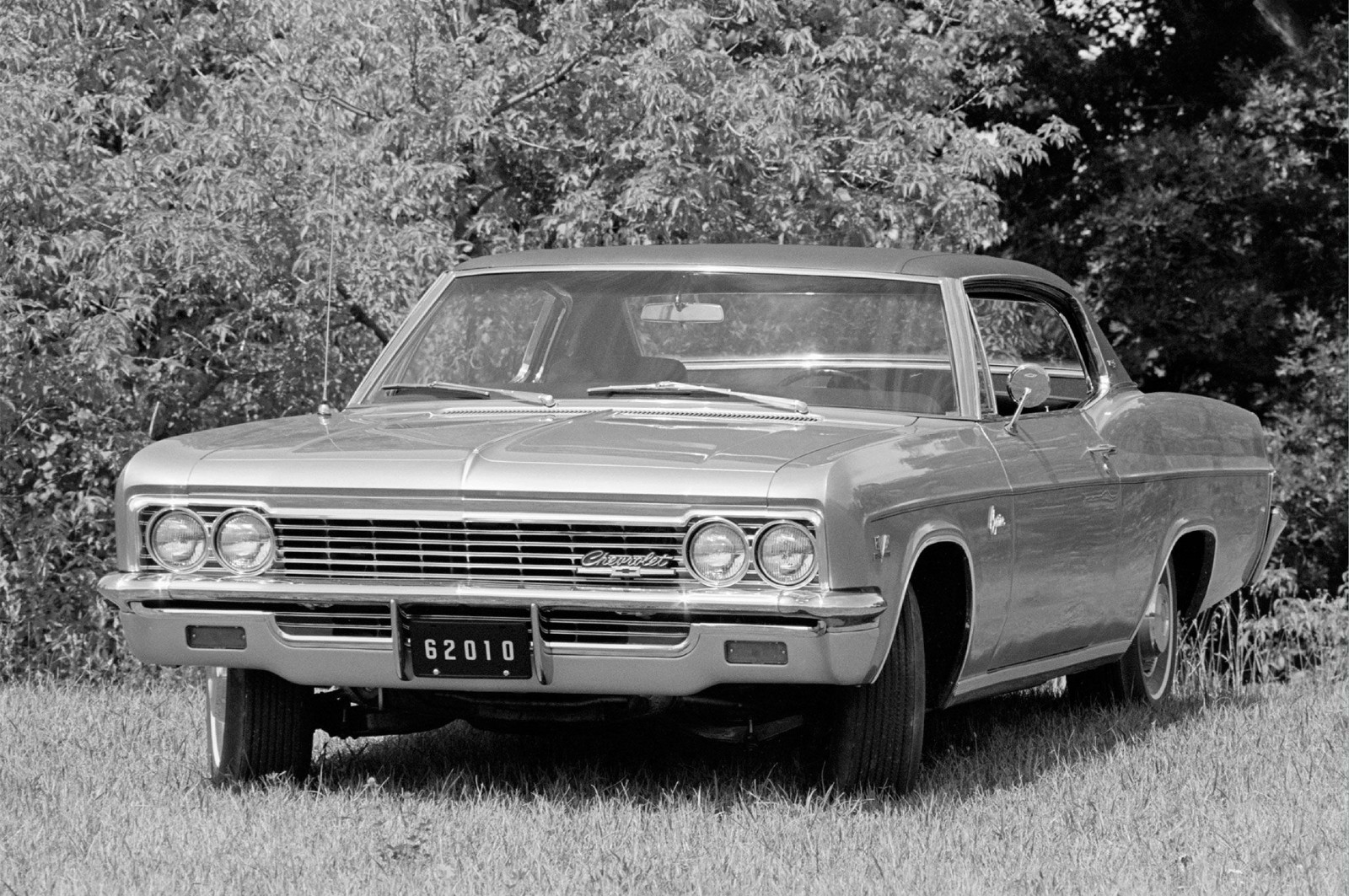 1st generation