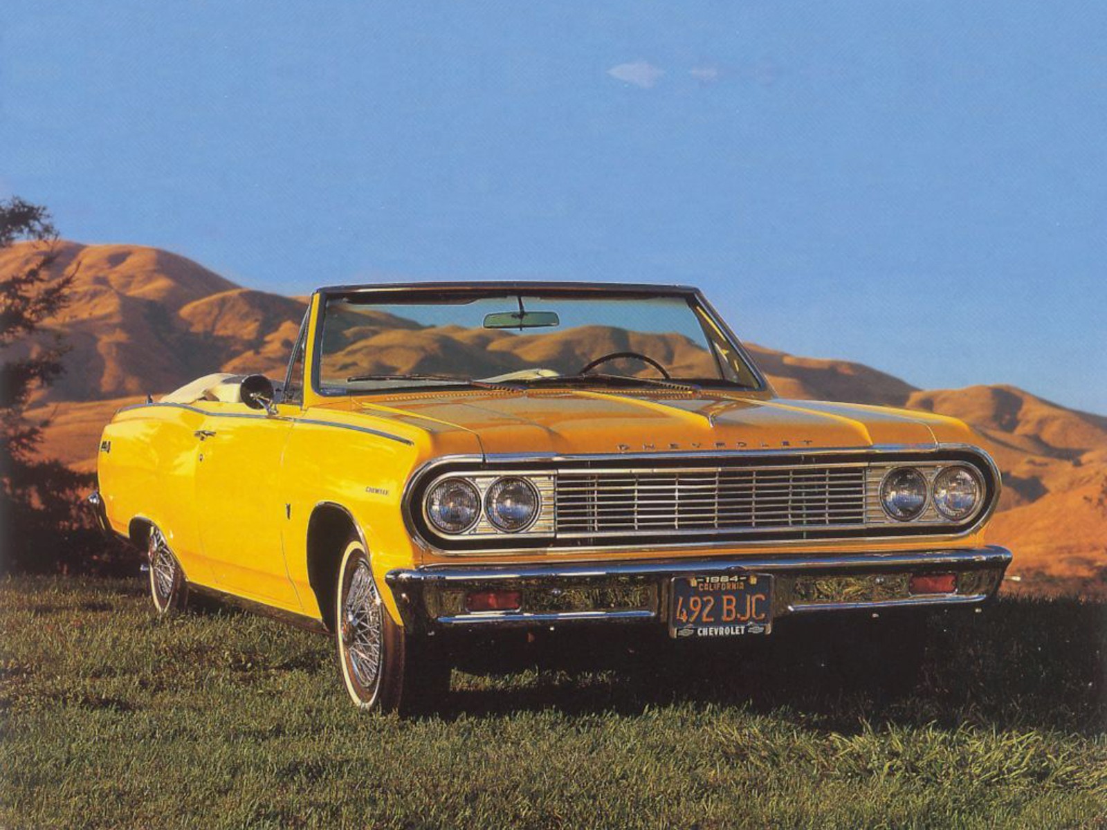 1st generation