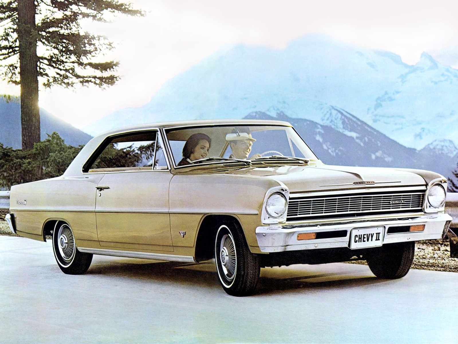 2nd generation