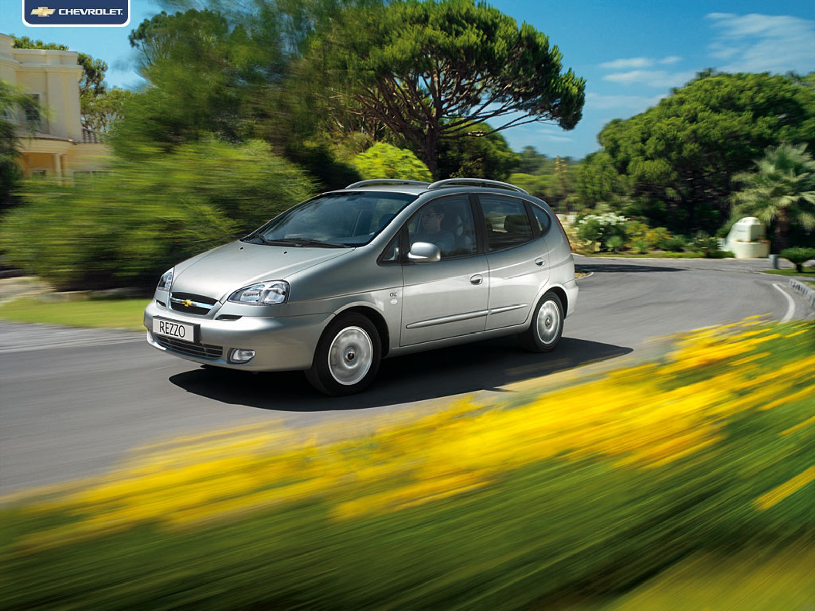 1st generation
