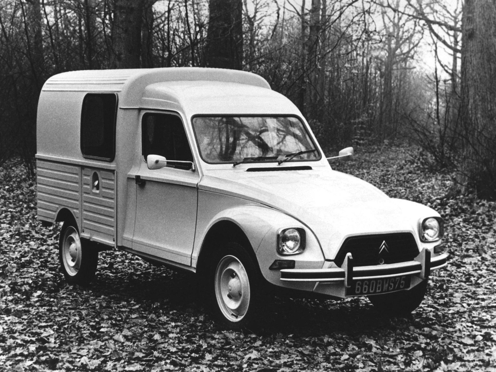 1st generation