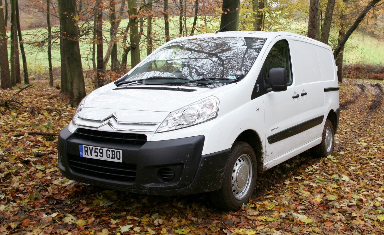 2nd generation