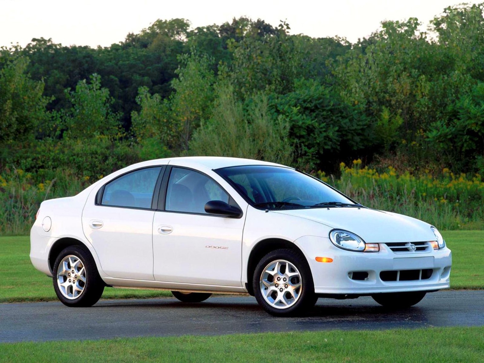 2nd generation