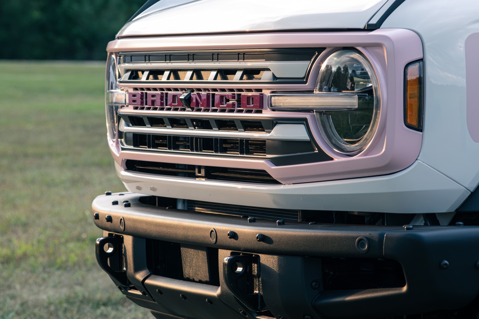 Ford Turns Vehicle Customization Into A Scarcity Game With New Limited-Run Strategy