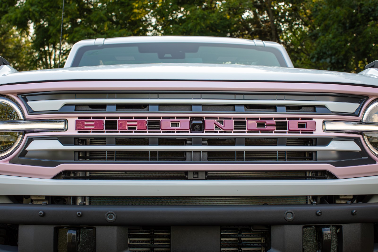 Ford Turns Vehicle Customization Into A Scarcity Game With New Limited-Run Strategy