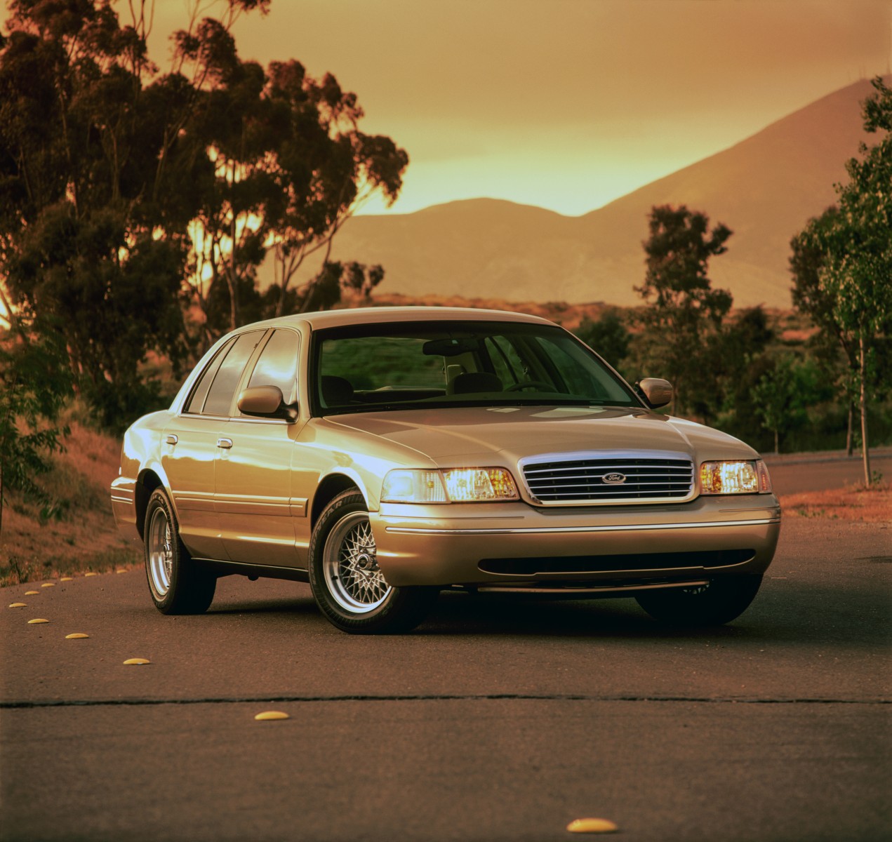 2nd generation
