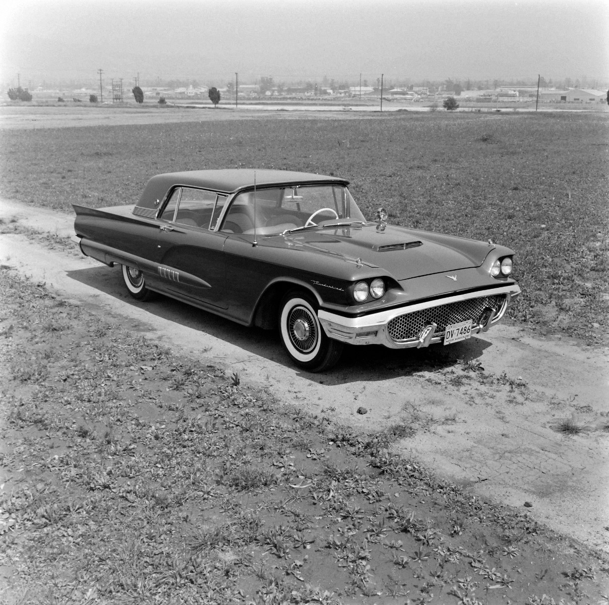 2nd generation