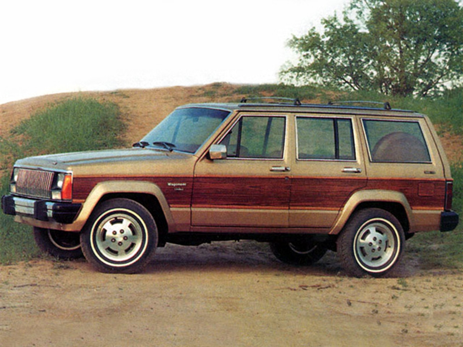 2nd generation