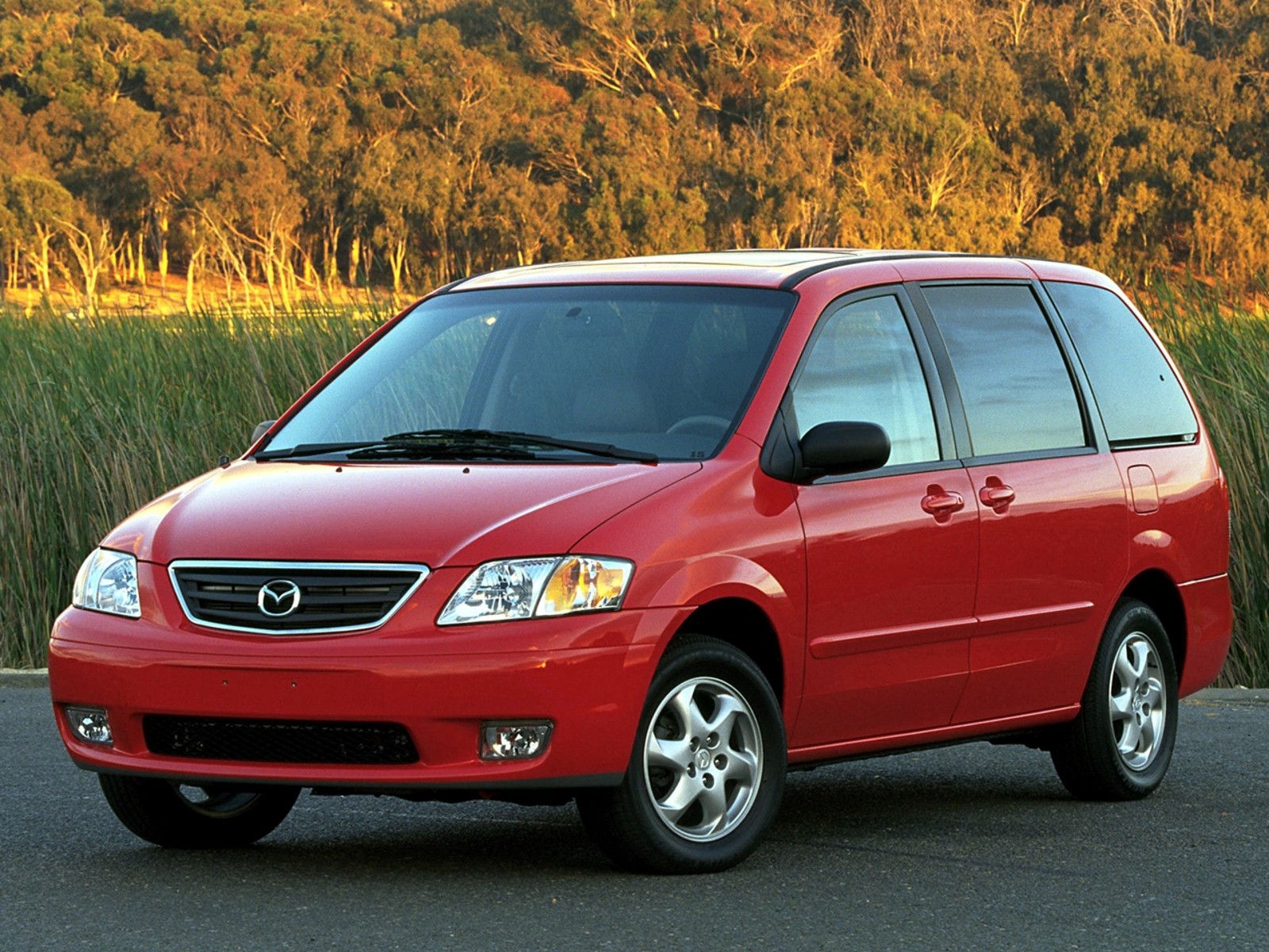 2nd generation