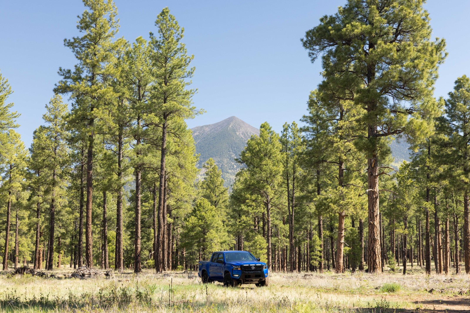 2027 Nissan Frontier Sport Edition Adds More Adventure Gear to the SV Lineup