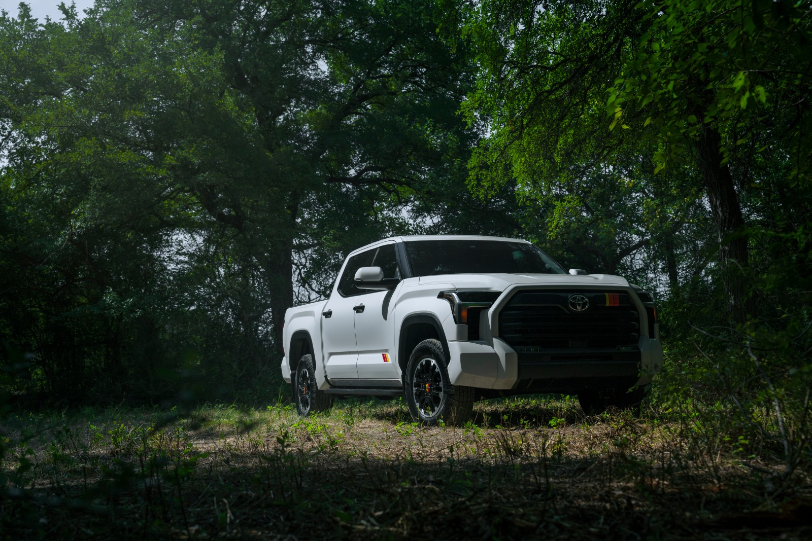Toyota Tundra TRD Rally Package CrewMax