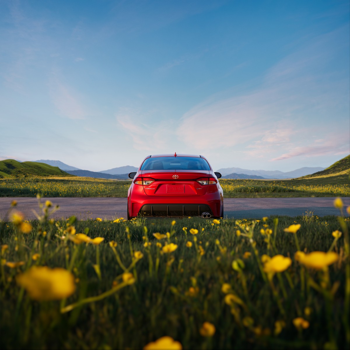 23aab77c-45f6-4162-90e6-f6312dd3f3c3.jpg